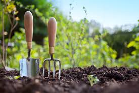 Four Golden Rule for Gardening